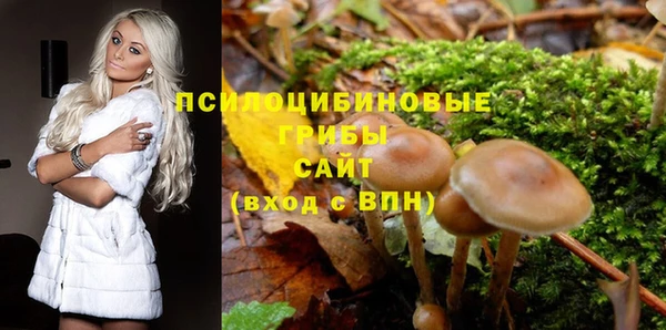 прущий лед Алзамай