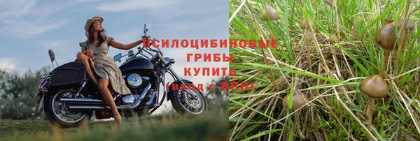 a pvp Алексин