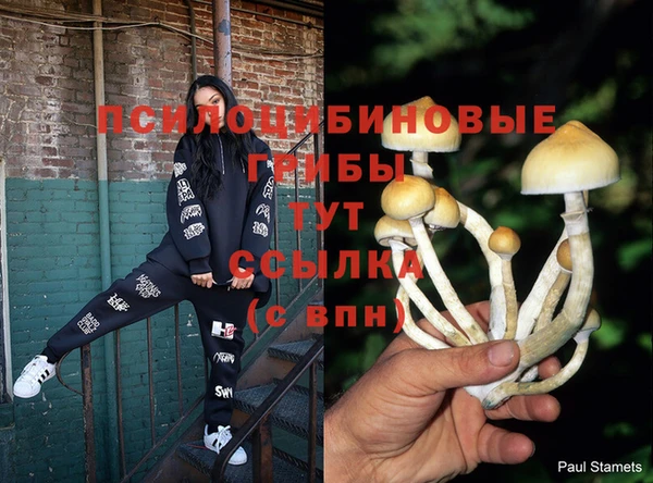 прущий лед Алзамай