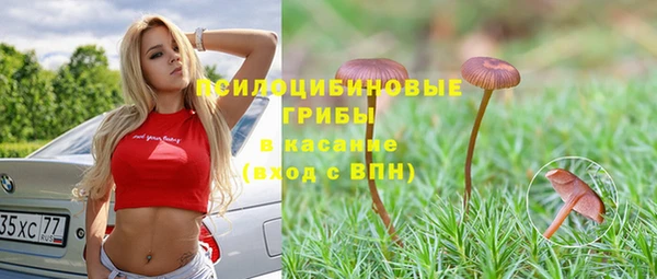 прущий лед Алзамай